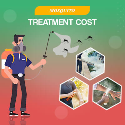 mosquito-treatment-cost